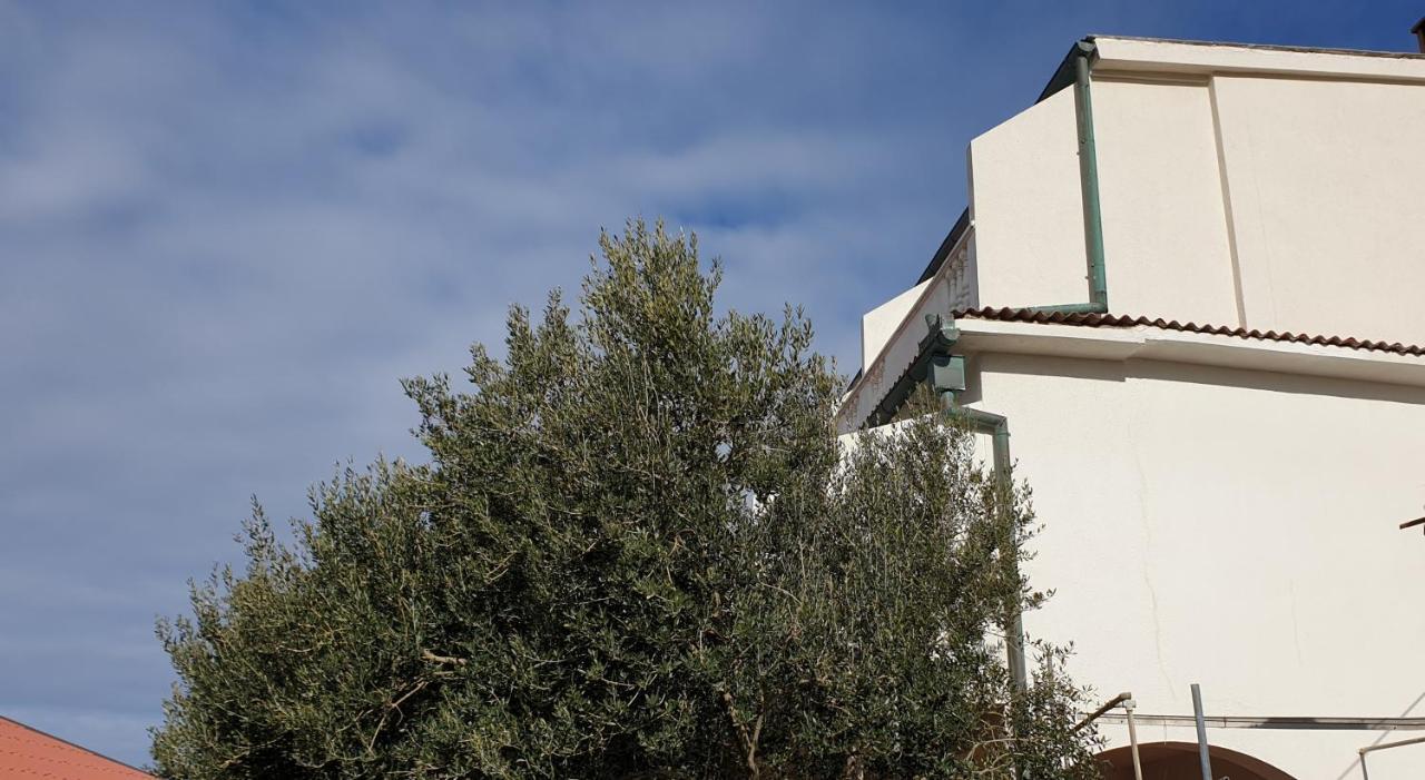 Bellavista bed&breakfast Pag Town Eksteriør bilde